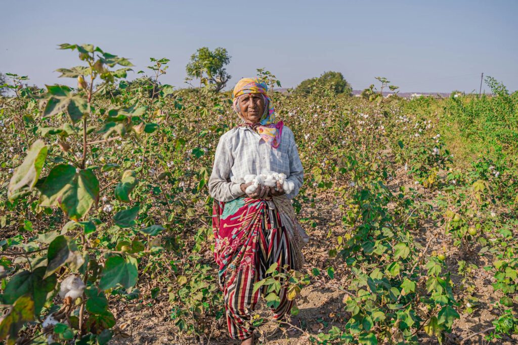 Farmers in India